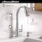 American Standard American Standard Maven One Handle Stainless Steel Pull-Down Kitchen Faucet 9319300.075 - alternate 2
